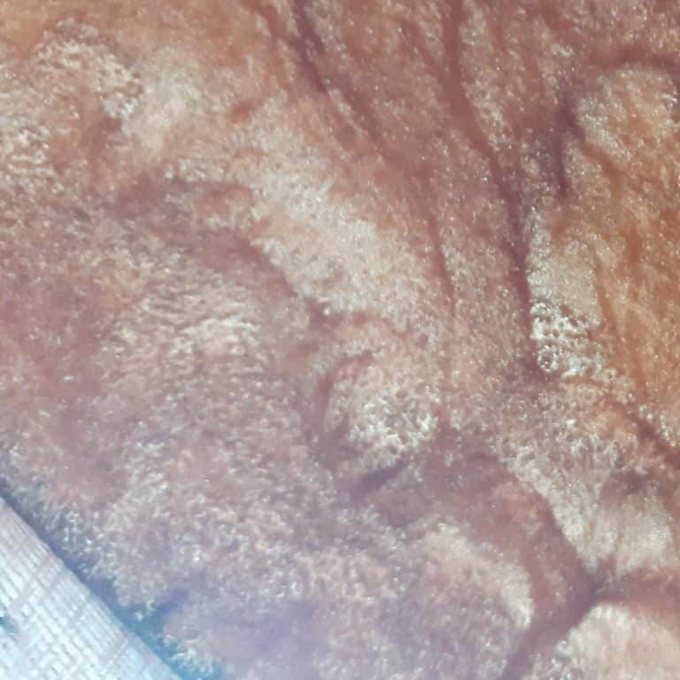 20201108_141815 Cropped