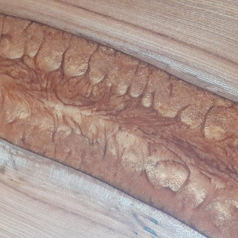 20201108_141829 Cropped